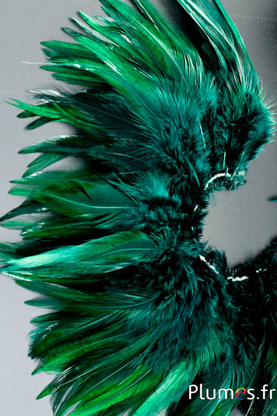 Frange coq - long. plumes 10-15 cm - vert sapin